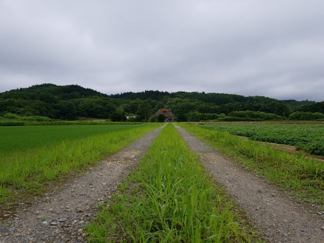 IMG_20210708_101438
