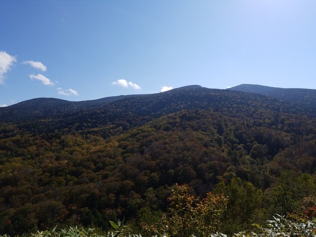 IMG_20211010_091734