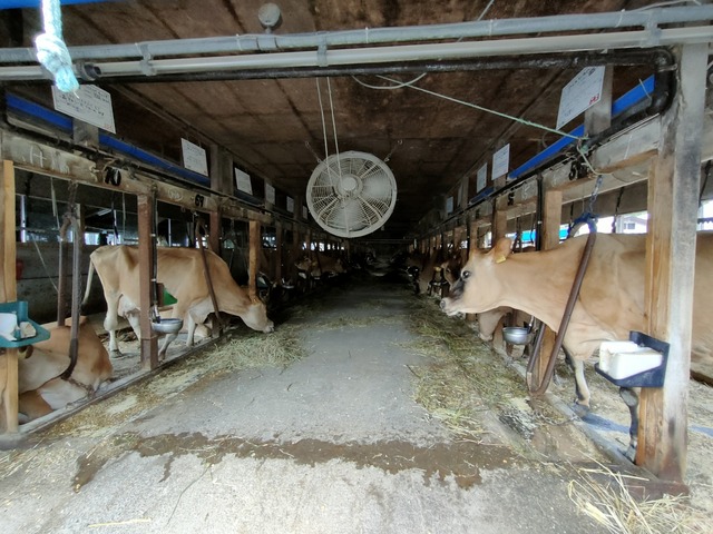 IMG20260824104317