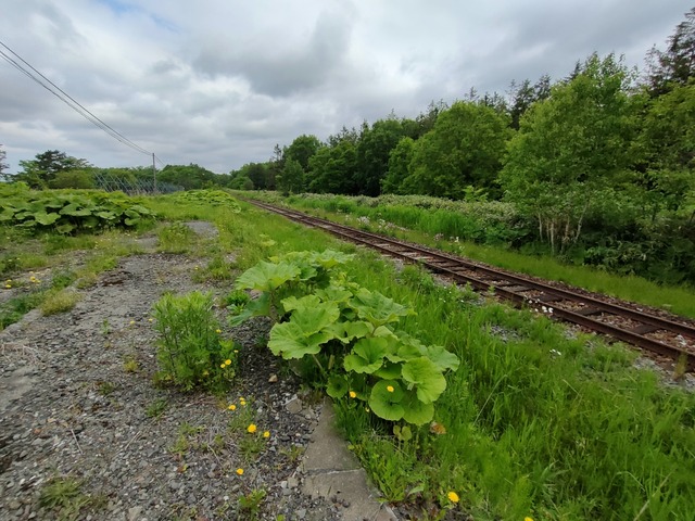 IMG20260614075400