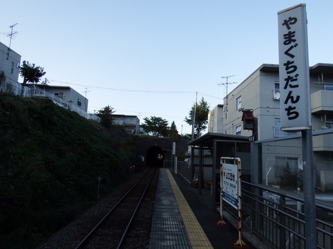 DSCF7154