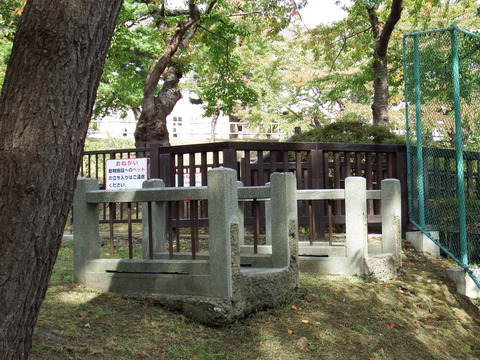 DSCF7410