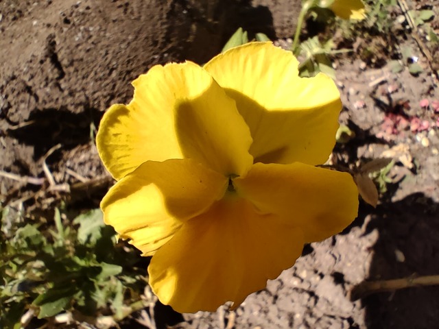 IMG20220910114308
