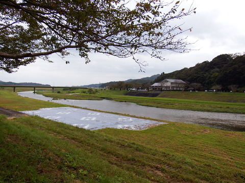 DSCF6670
