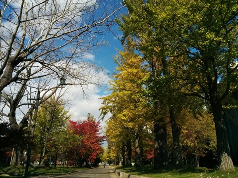 [画像:d49337db-s.jpg]