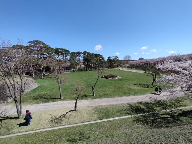IMG20240422095713
