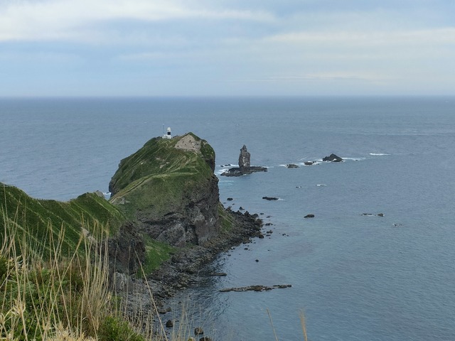 IMG20260524084423