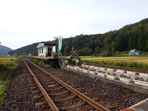 DSCF6551