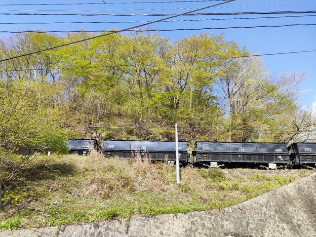 IMG20230419081223