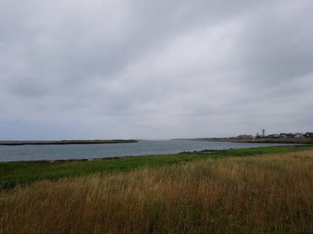 IMG_20210717_104534