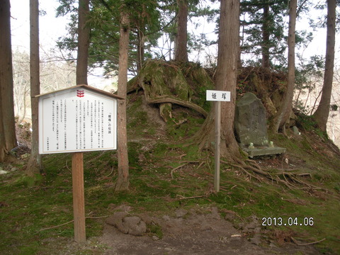 RIMG1245
