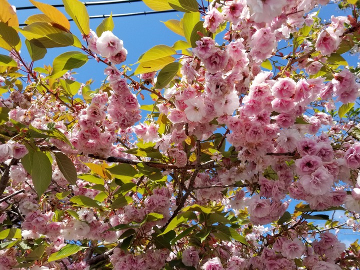 20200528_092543