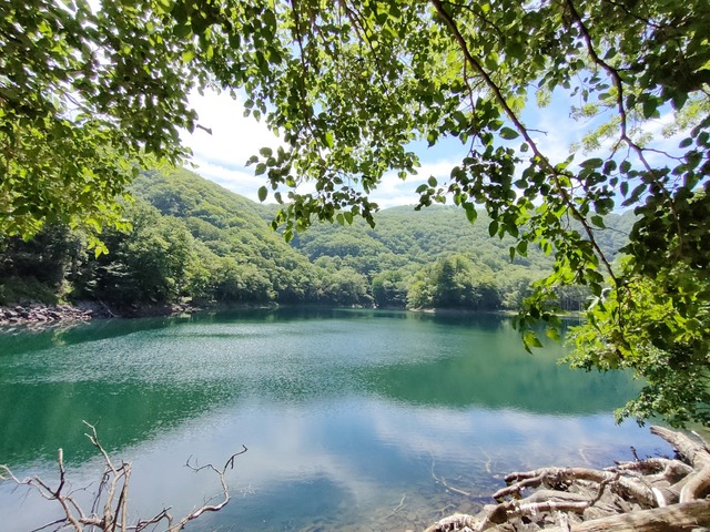 IMG20250708093346