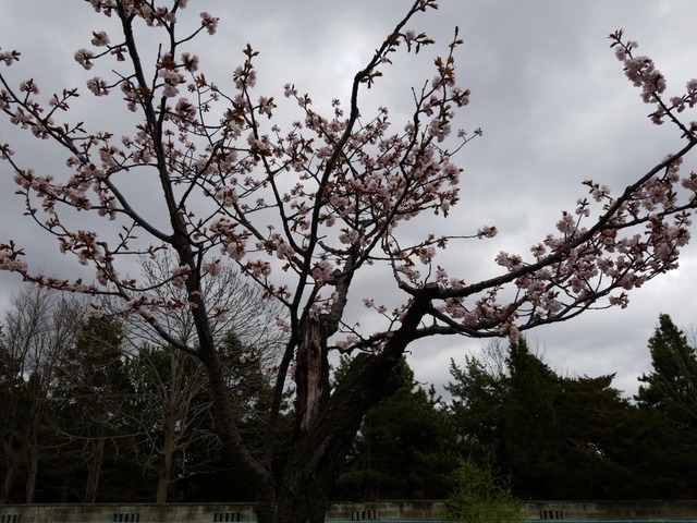 IMG_20210419_092822