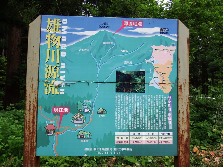 DSCF8751