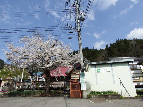 DSCF5019