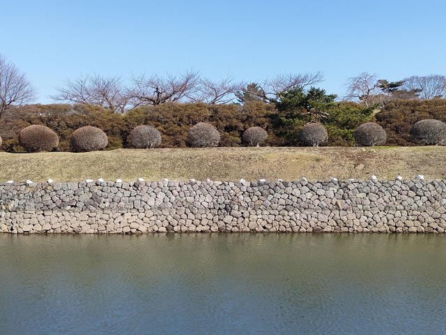 IMG20230320092846