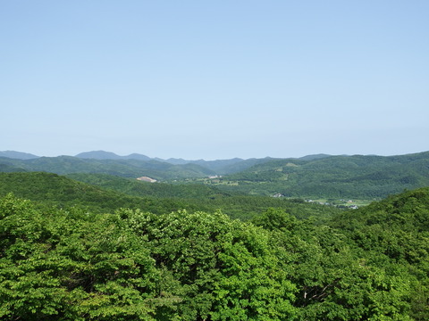 DSCF7305