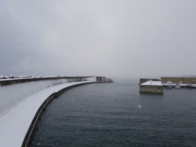 IMG_20201214_104216