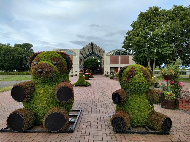 IMG20240708183723