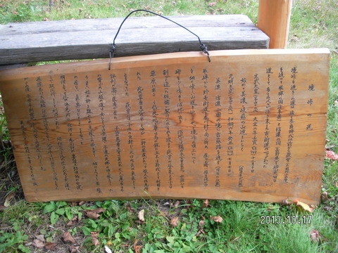 RIMG2519