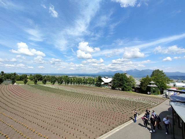 IMG20230616133756