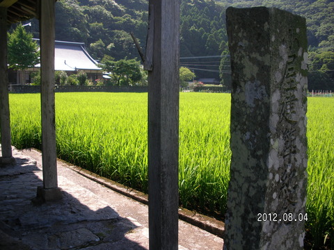 RIMG0558