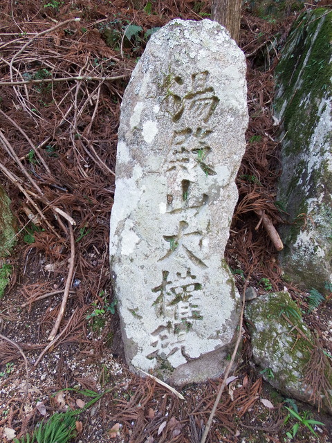 DSCF4857