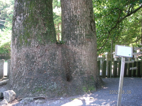 RIMG0663