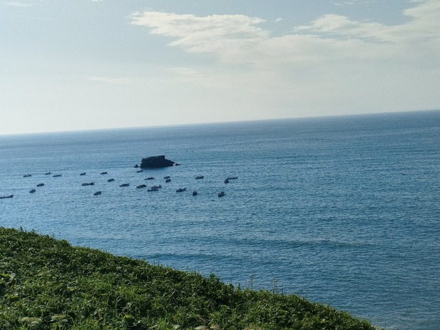 IMG20250713065548