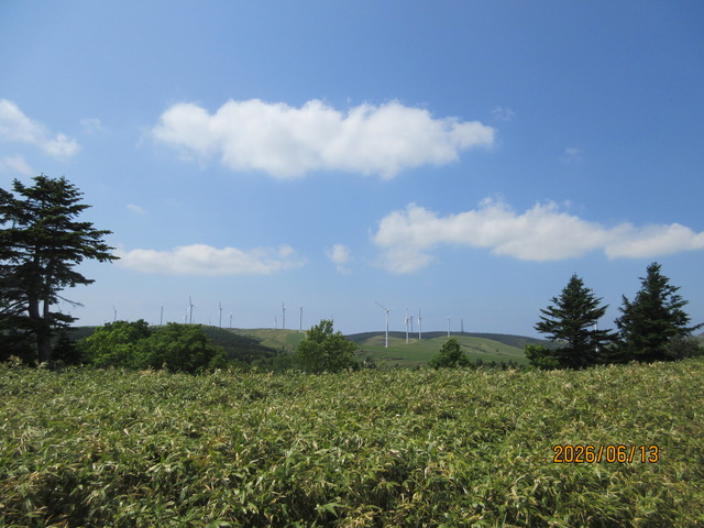 IMG_6658