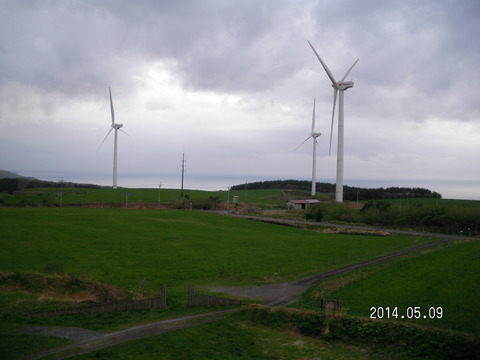 RIMG3667