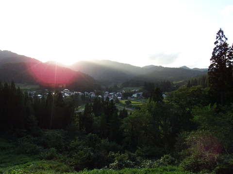 DSCF6527