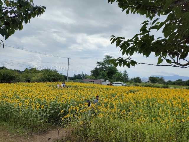 IMG20260824125028
