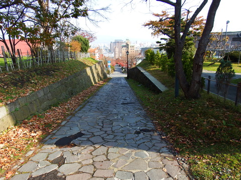 DSCF7597