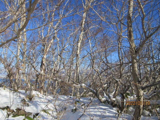 IMG_8346