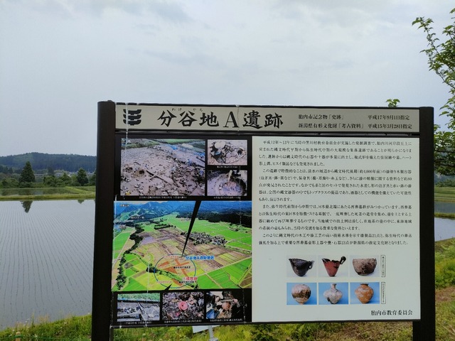 IMG20230519081901