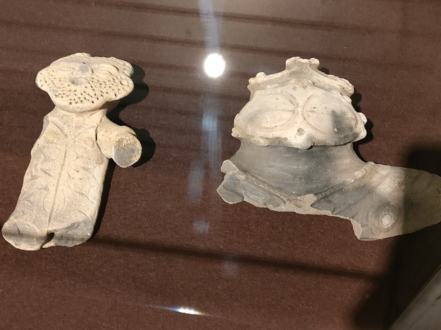 IMG20231020102744