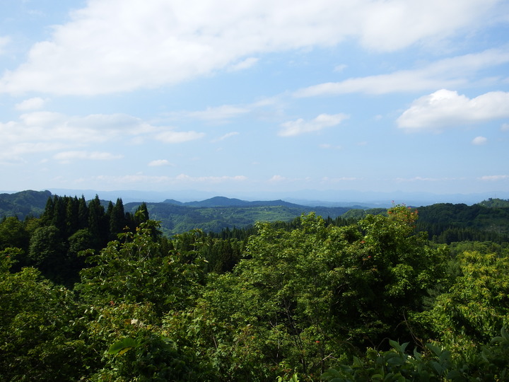 DSCF8728