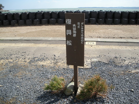 RIMG1316