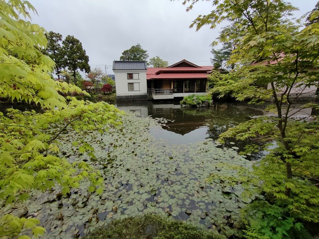 IMG20260521135847