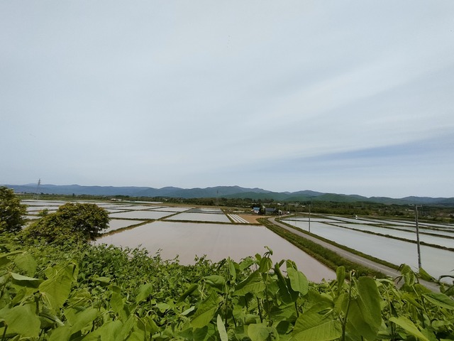IMG20260523102818