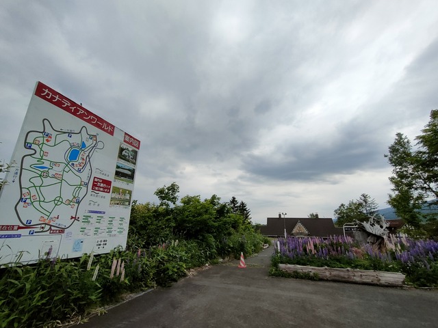 IMG20230617075344