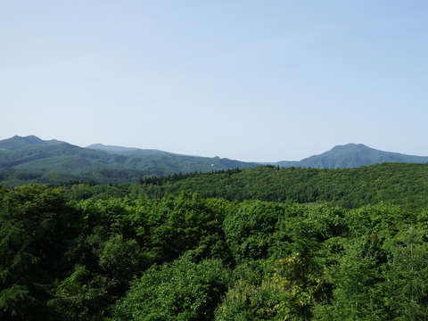 DSCF7304