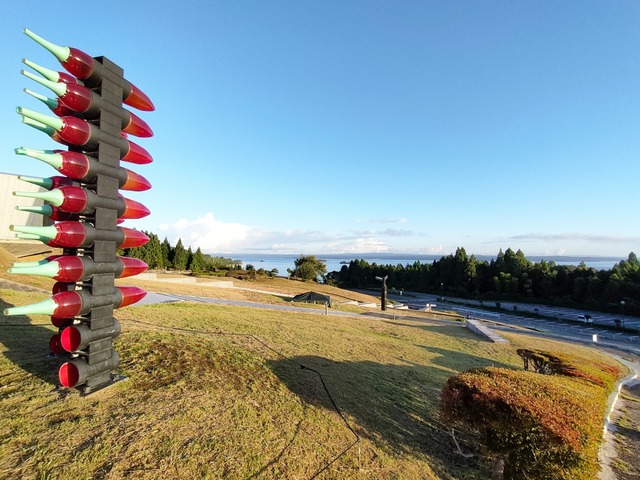 IMG20241012063440