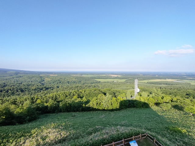 IMG20250711171750