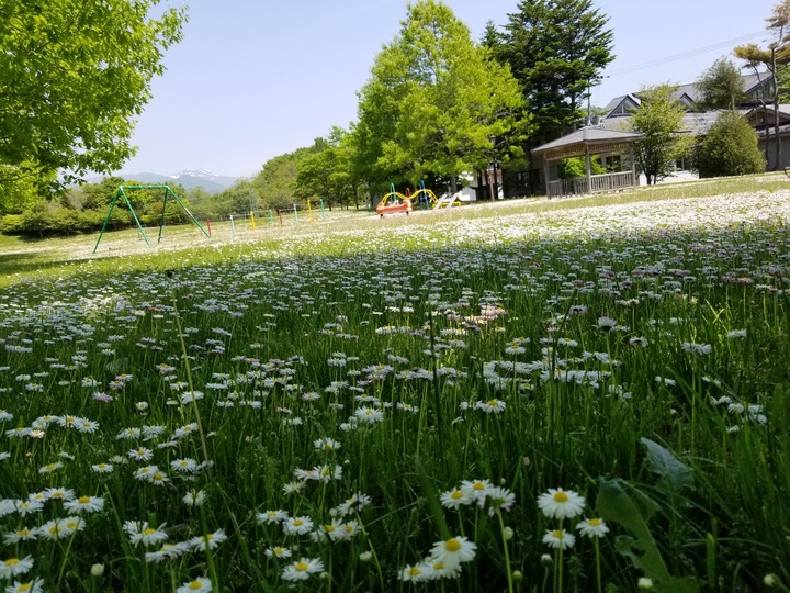 20190527_110615