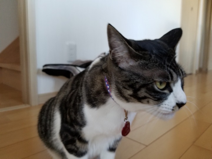 20190421_155011