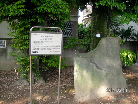 RIMG3805
