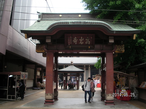 RIMG3854